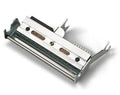 Honeywell spare prindipea, 12 dots/mm (300dpi) (50178575-001)